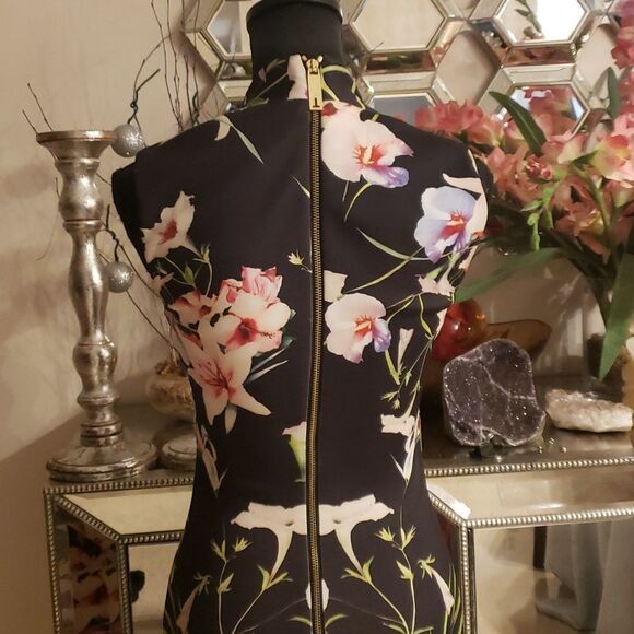 TED Baker London Gorgeous Dress Size 1 (XS-S) NWOT - Picture 6 of 8